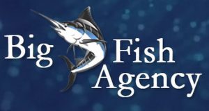 Big Fish Agency