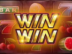 Win Win — универсальный игровой центр для бизнеса и дома win win